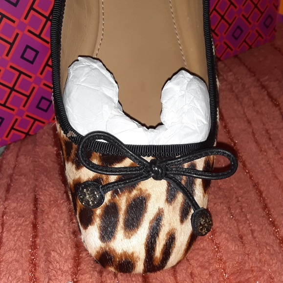 Leopard flat - Picture 2 of 5